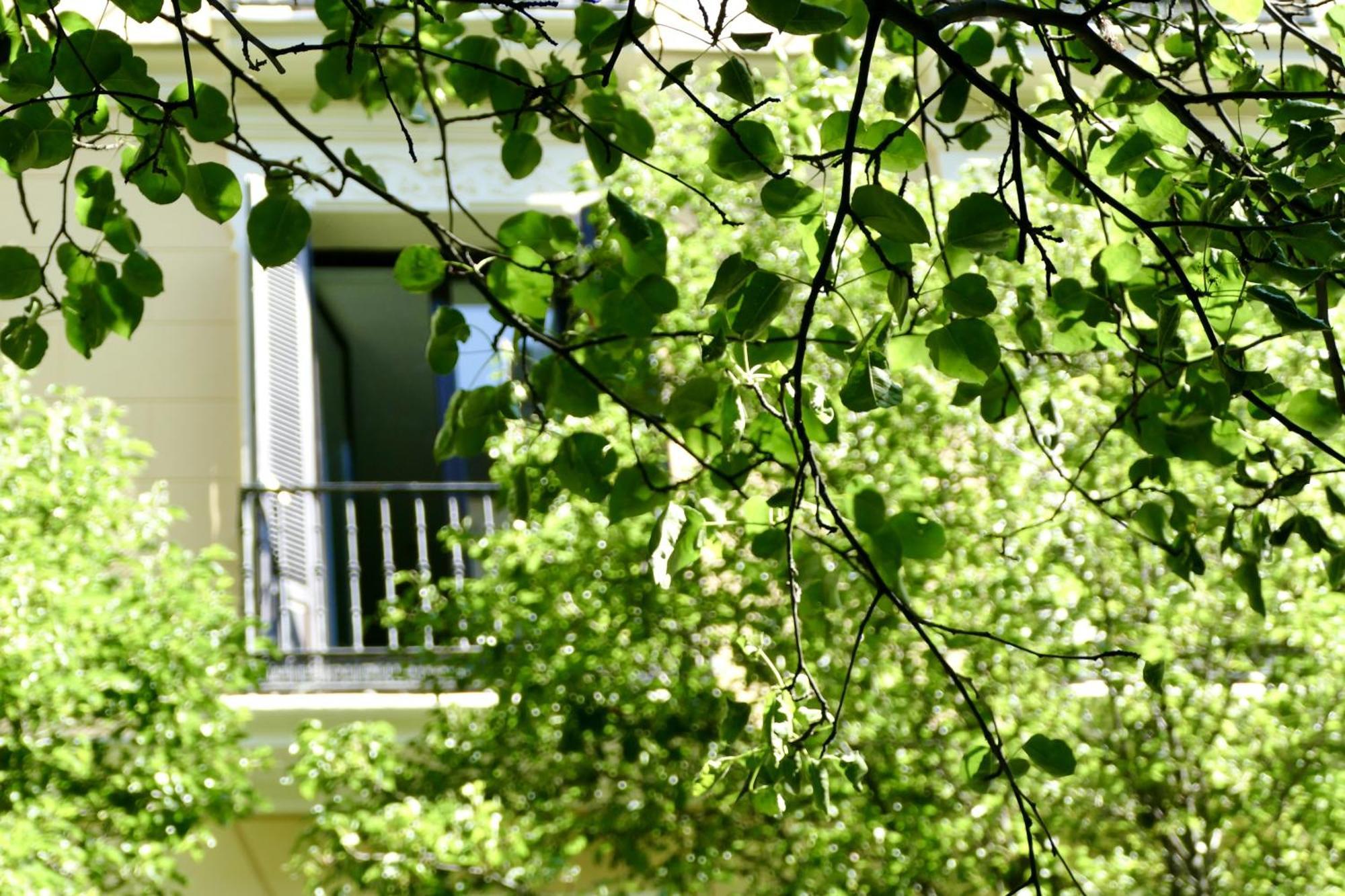 Blume Conde Aranda Appartement