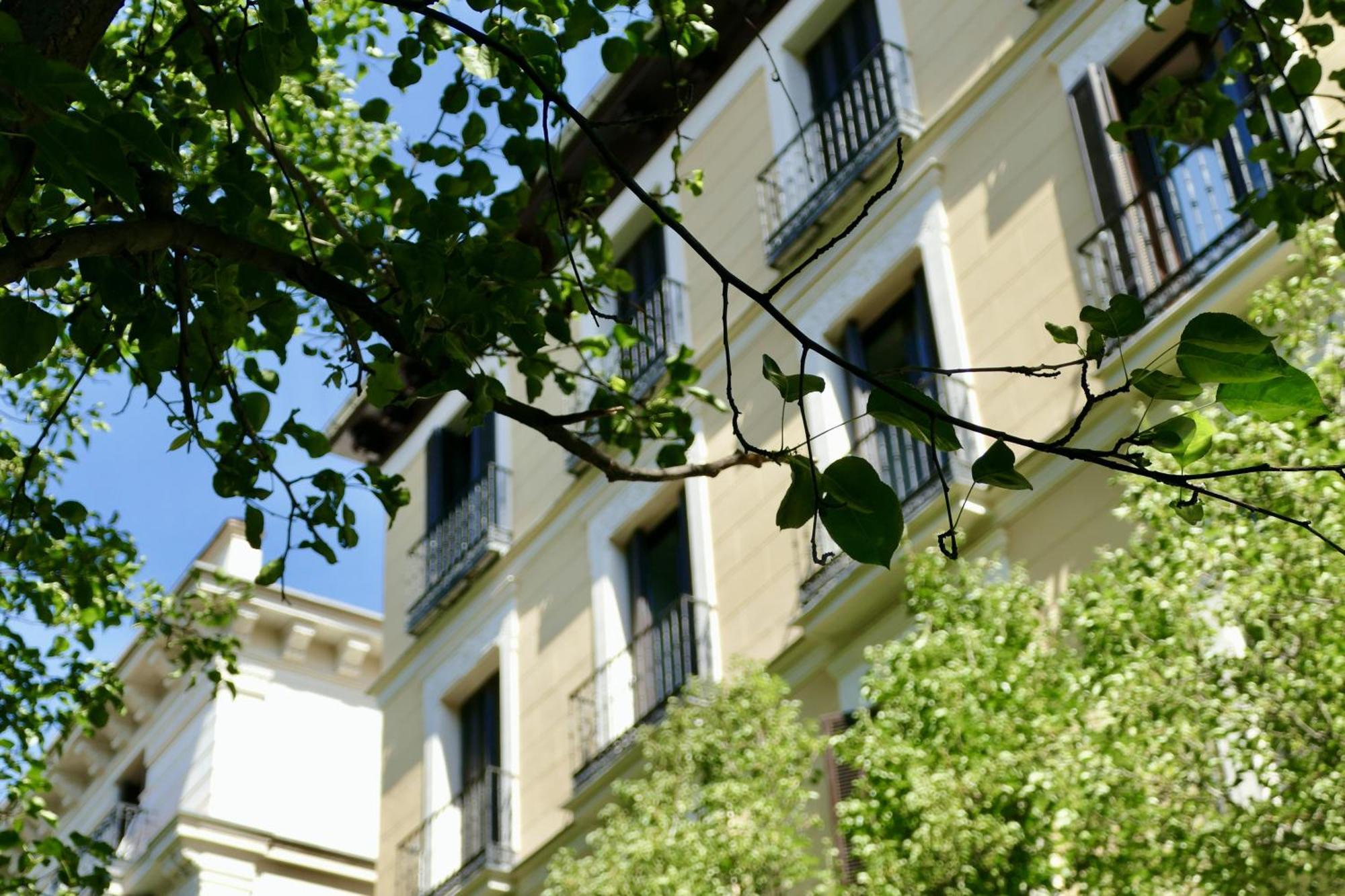 Apartamento Blume Conde Aranda