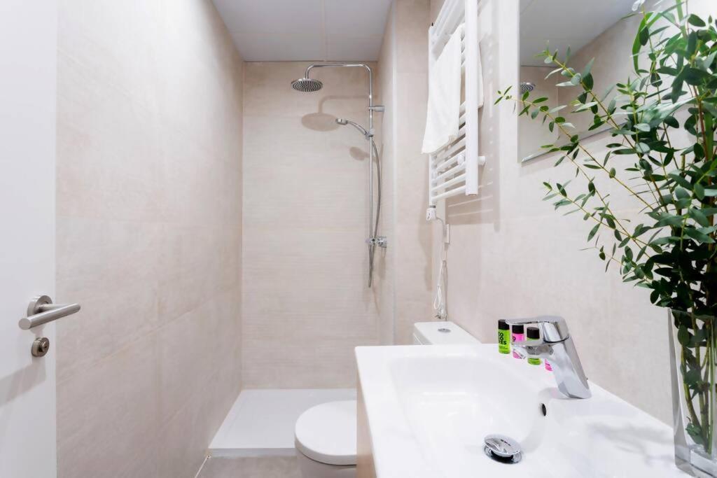 Apartamento Blume Conde Aranda Madrid